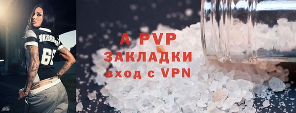 крисы Новозыбков