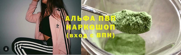 стафф Новодвинск