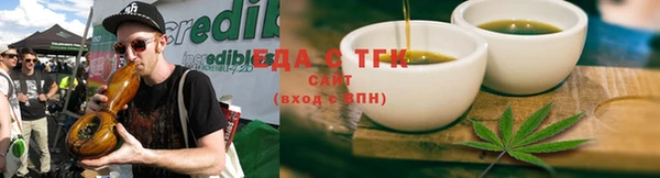 стафф Новодвинск