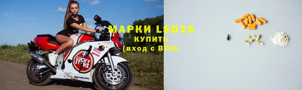 стафф Новодвинск