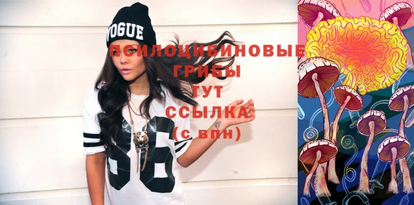 крисы Новозыбков