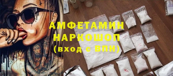 стафф Новодвинск