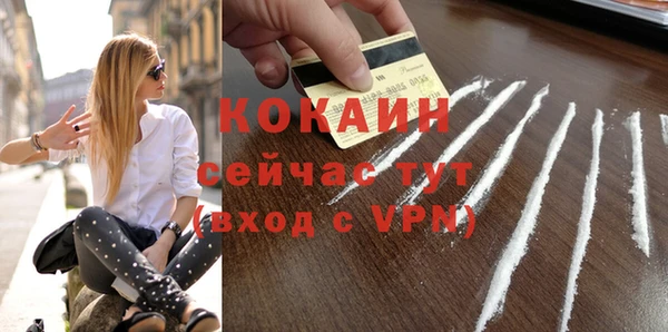 стафф Новодвинск