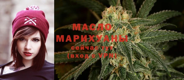 крисы Новозыбков