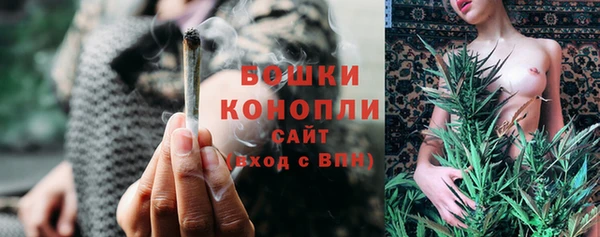 стафф Новодвинск