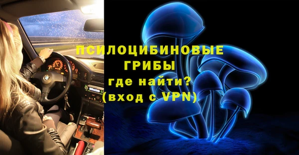 стафф Новодвинск