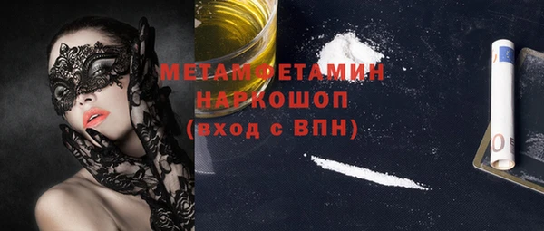 крисы Новозыбков
