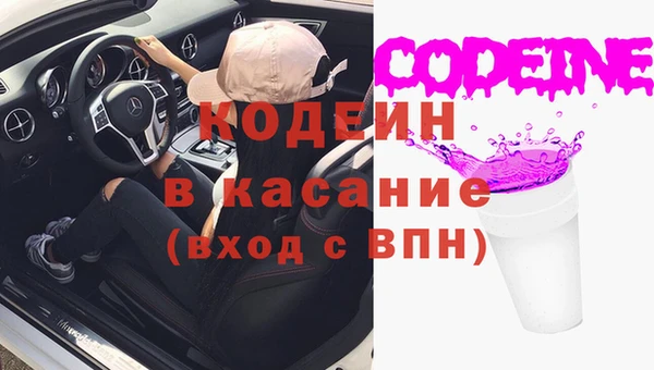 хмурый Елизово