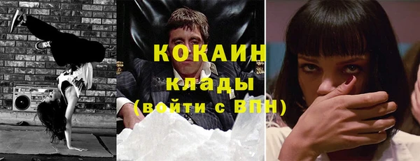 крисы Новозыбков