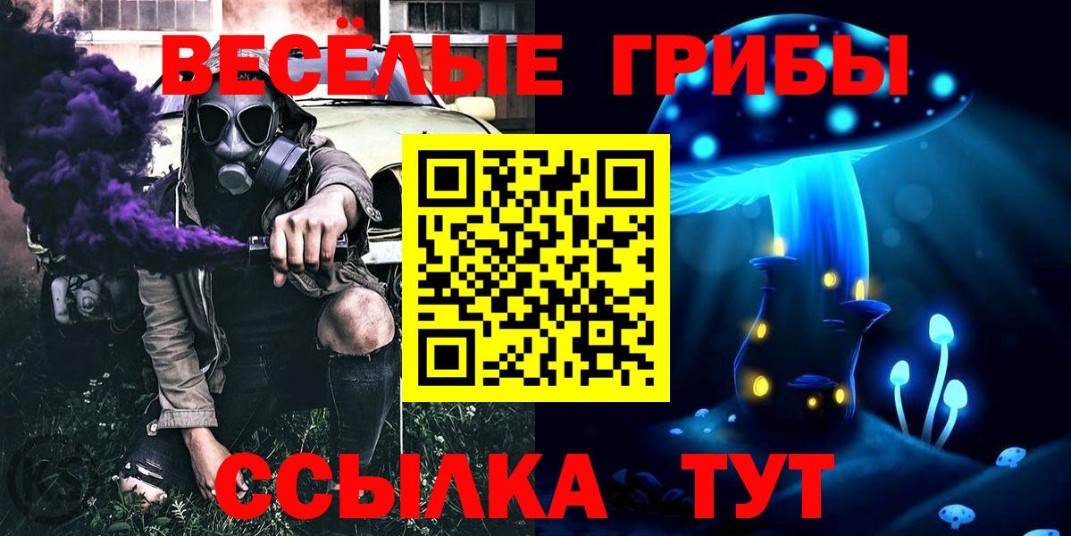 Когалым  продажа наркотиков  Галлюциногенные грибы Magic Shrooms  Вход с VPN  Галлюциногенные грибы Cubensis 