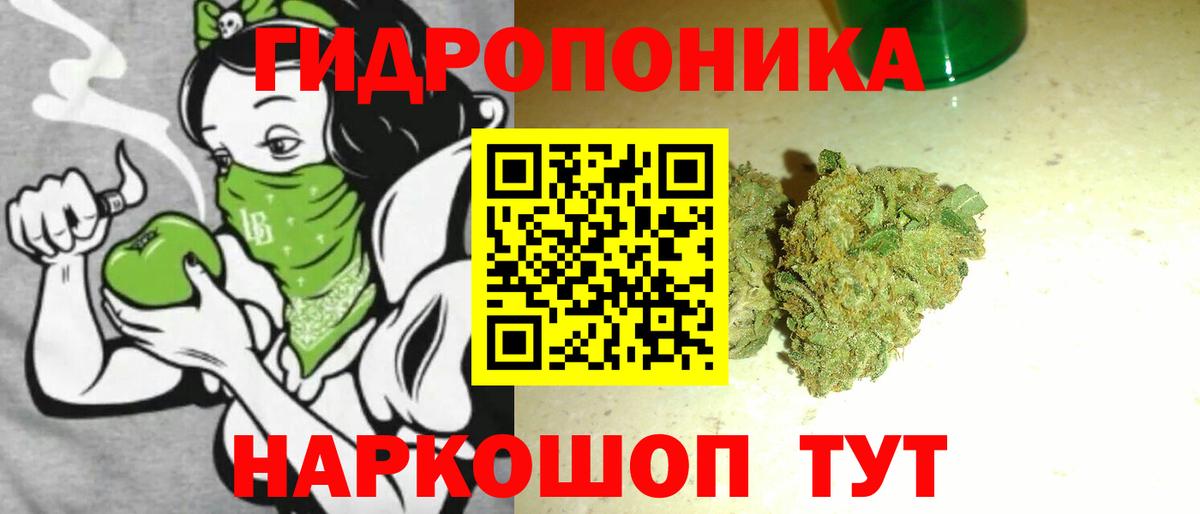 Шишки марихуана конопля Когалым